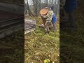 Колоды для пчёл