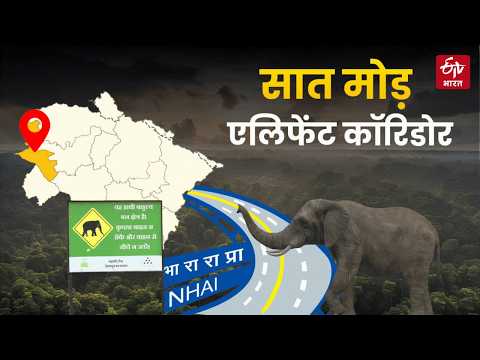 Uttarakhand Saat Mod Elephant Corridor : विकास VS जंगल का क्या समाधान? तीन तरफ से घिरी सरकार