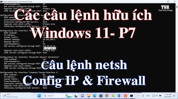 Những câu lệnh hữu ích trên windows 11| Lệnh netsh cấu hình IP và tường lửa