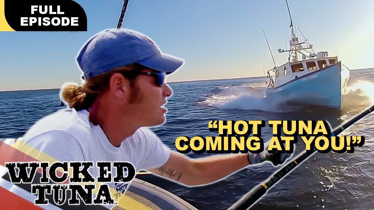 Уступите дорогу... Иначе (Полная серия) | 3 сезон, 2 серия | Злой тунец