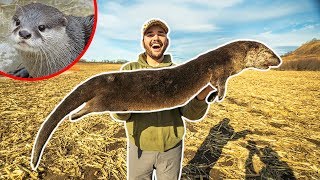 I TRAPPED a GIANT OTTER at My FARM!!! (Rare Catch)