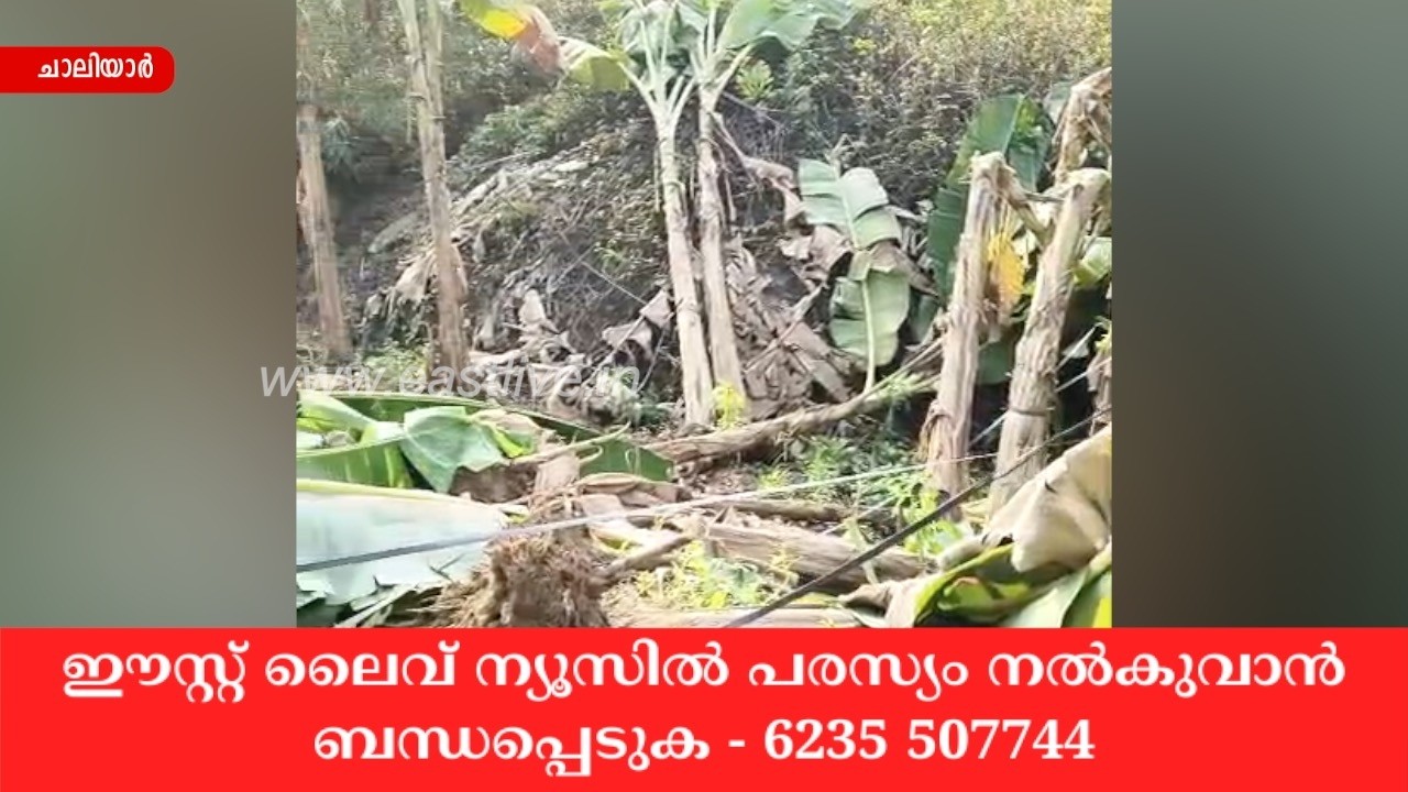 വേനൽ മഴയിലും കാറ്റിലും തോട്ടപ്പള്ളിയിലും നായാടംപൊയിലും ആയിര കണക്കിന് നേന്ത്രവാഴകൾ നിലംപൊത്തി