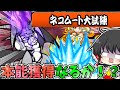 にゃんこ大戦争【ネコムート大試練】爆波ネコムートへついに挑戦!本能獲得なるか!?【ゆっくり実況】【無課金】
