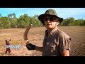 Buffalo Hunting in Northern Australia-J Alain Smith