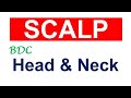 Chp2  anatomy of scalp  head  neck anatomy  bdc vol 3  dr asif lectures