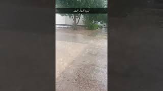 سيح الرول اليوم #امطار #مطر# #سلطنة_عمان #rain