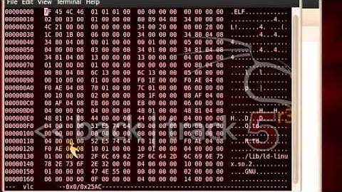 Setting VLC di Backtrack 5 r3 Gnome