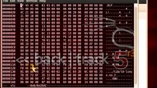 Setting VLC di Backtrack 5 r3 Gnome
