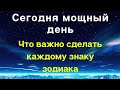 Сегодня мощный день. Что важно сделать каждому знаку зодиака.