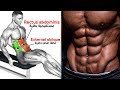 BEST 7 ABS EXERCISES 👊   GYM WORKOUT