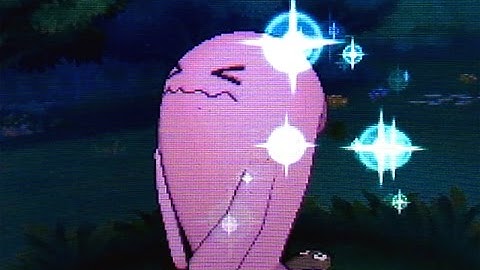 DEXNAV: Shiny Wobbuffet after 269 Encounters in Safari Zone! (Pokemon Alpha Sapphire)