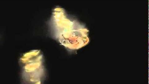 Diablo3 beta account generator