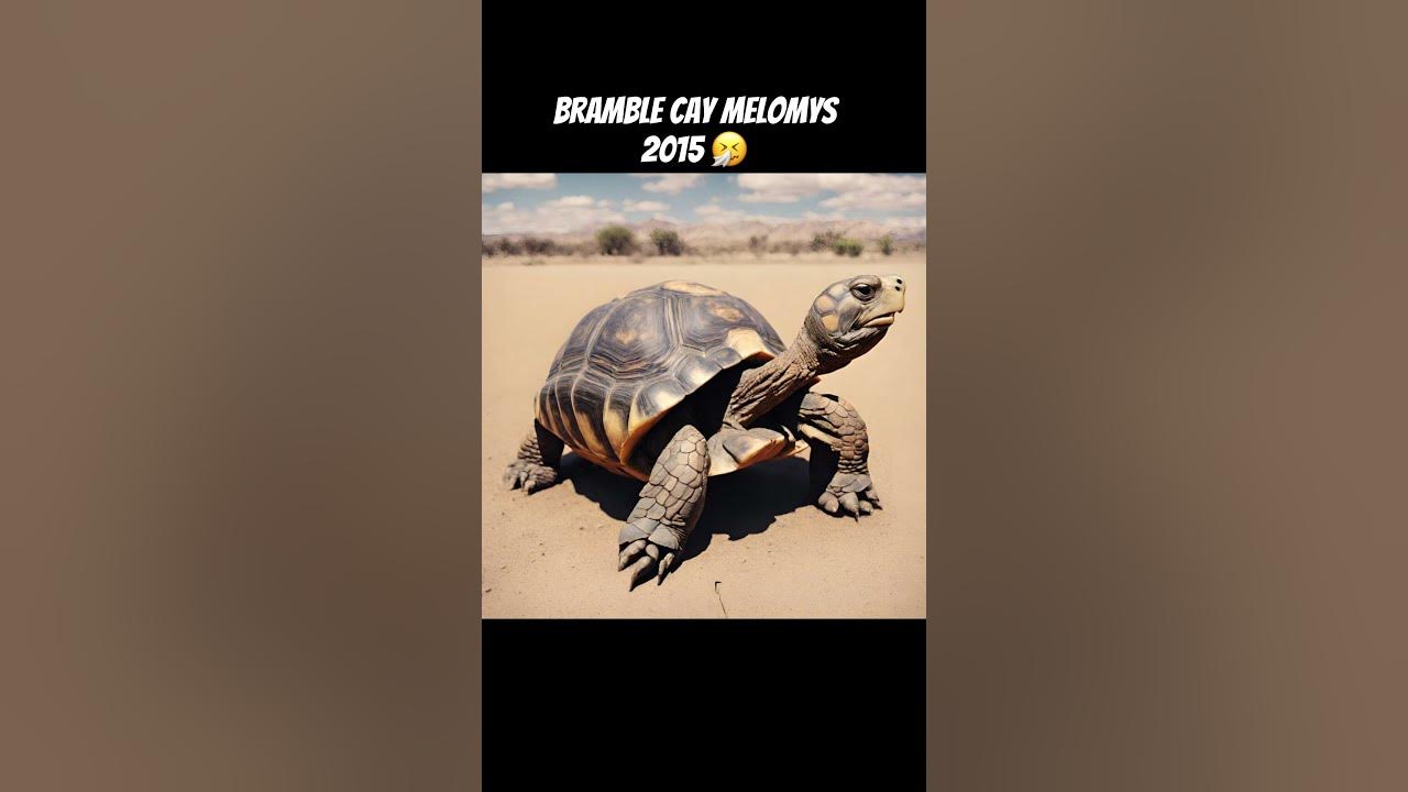 Famous Animals that died each year 😪 pt 1 animals shorts YouTube