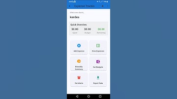 flet framework with python expense tracker app