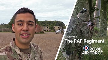 The RAF Regiment