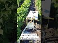 إقاف تسروب المياه من لأنابيب زاإدا تحياتي ريجال إقاف تسروب المياه من لأنابيب زاإدا تحياتي ريجال