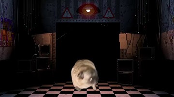 Pug dancing to fnaf 2 music box