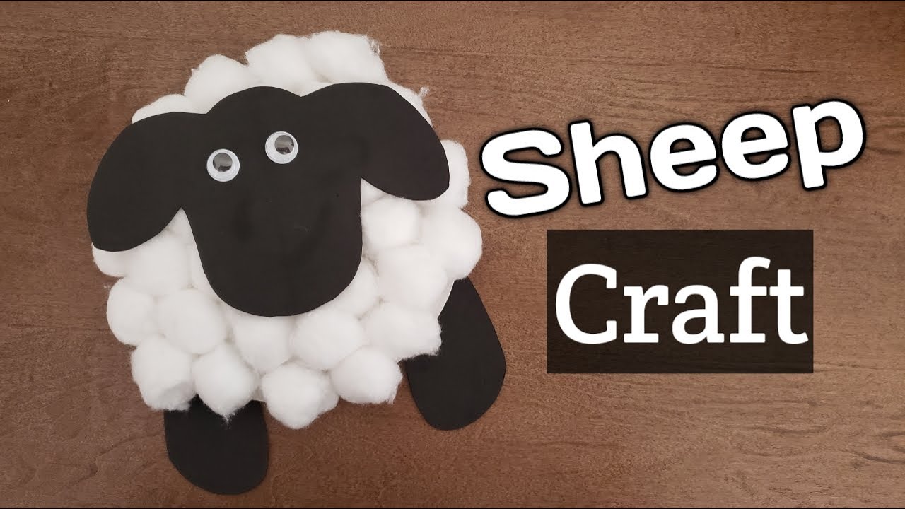 Sheep craft on paper plate