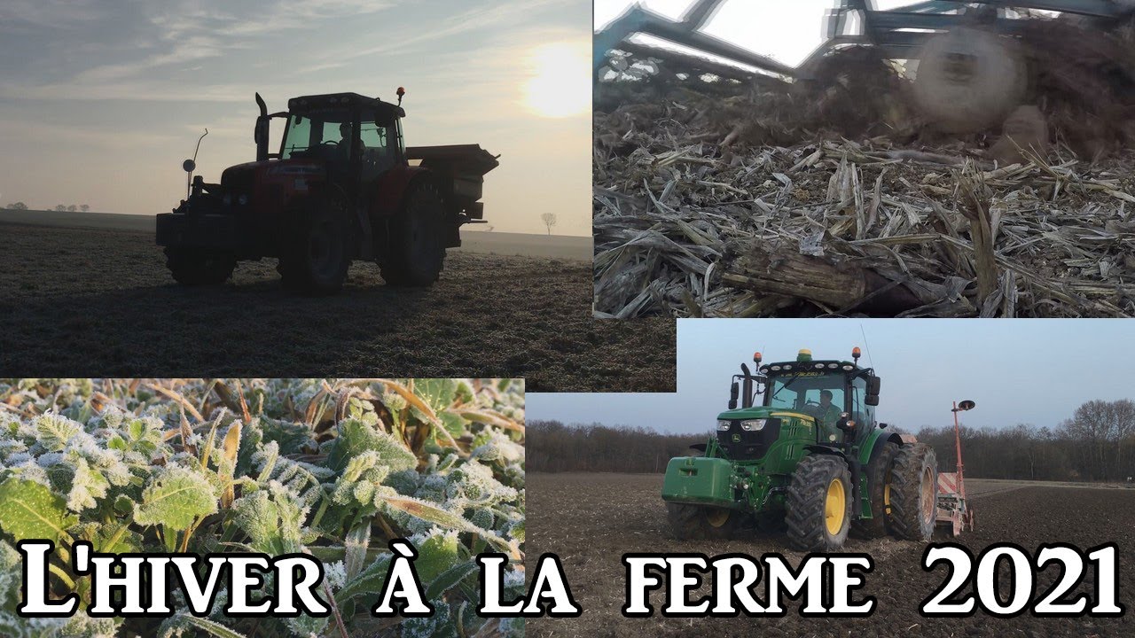 L'hiver à la ferme 2021