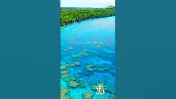 سورة الأنبياء و..كا،.نك تسمعها لأو.ل مر.ة💚🌸؛💗؛💓💙؛.💜💟بصوت الشيخ حمزة مدبو.ح 💜🌹،؛💔💮،،🌼..❣️💘