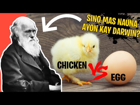 Video: Ano Ang Dumating Bago - Isang Itlog O Isang Manok