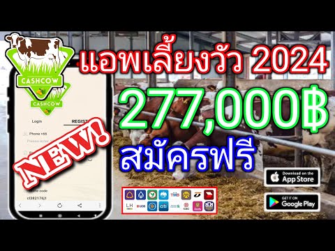 สมัครด่วน!! CASHCOW หาเงินฟรีใหม่แจกลิ้งค์ สอนเล่นแอพฟรี!!