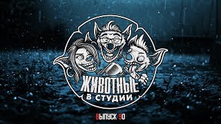 Подкаст «Животные в Cтудии». Выпуск 90. Манка в голове Подкаст «Животные в Cтудии». Выпуск 90. Манка в голове