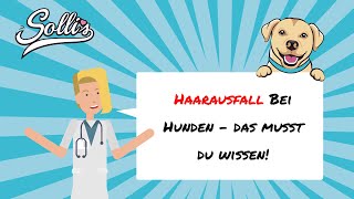 TGH 139 - Allergikerhunde - Elo, Schnauzer, Pudel, Doodle und Co - Hundeschule Stadtfelle