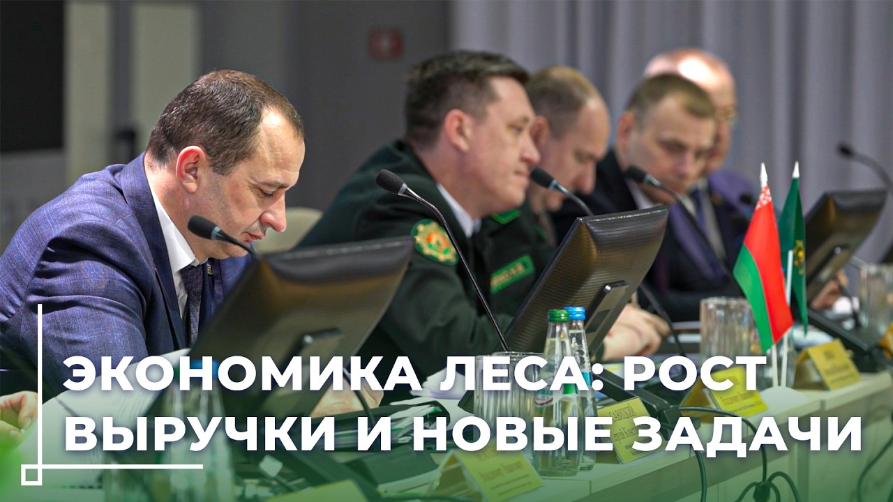 Могилёвские лесхозы подвели итоги: рекордная заготовка древесины и экономический рост