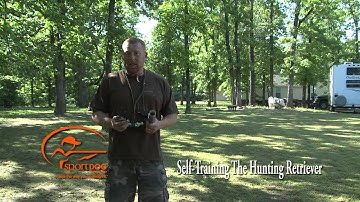 Vid 14 Transitioning Force Fetch To Ground