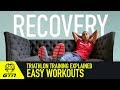 Recovery Workouts - Why Take It Easy? | Triathlon Training Explained