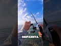 memancing di laut tidak bisa di prediksi ‼️#shortvideo #viralvideo #viralvideo