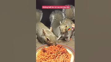 Thằng nào nghĩ ra cái trò ác zậy #trending #shortsvideo #animals #hot #chili