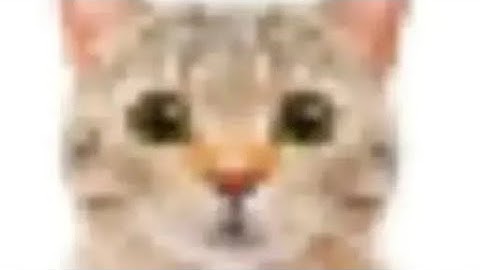 BEST DA HOOD CAMLOCK (SHAKE + SMOOTHNESS) Introducing, “Celex”