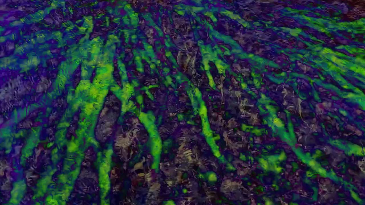 The Besnard Lakes - Chemin de la Baie [Official Video]