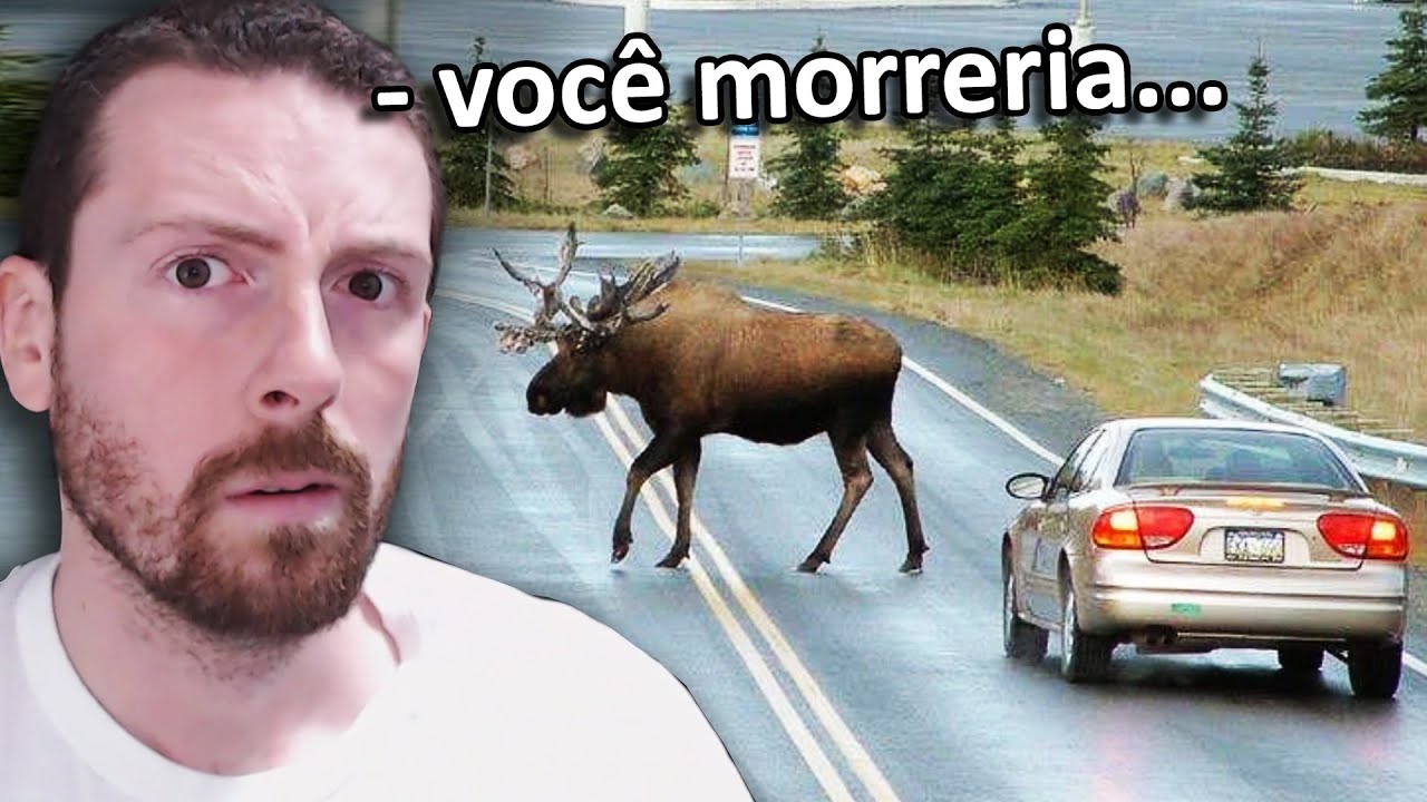 Animais são MAIORES do que você pensa...