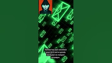 NetWire RAT Infamous for Malicious Activities Taken Down by International Law Enforcement