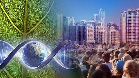 Principles of Complexity - Overview