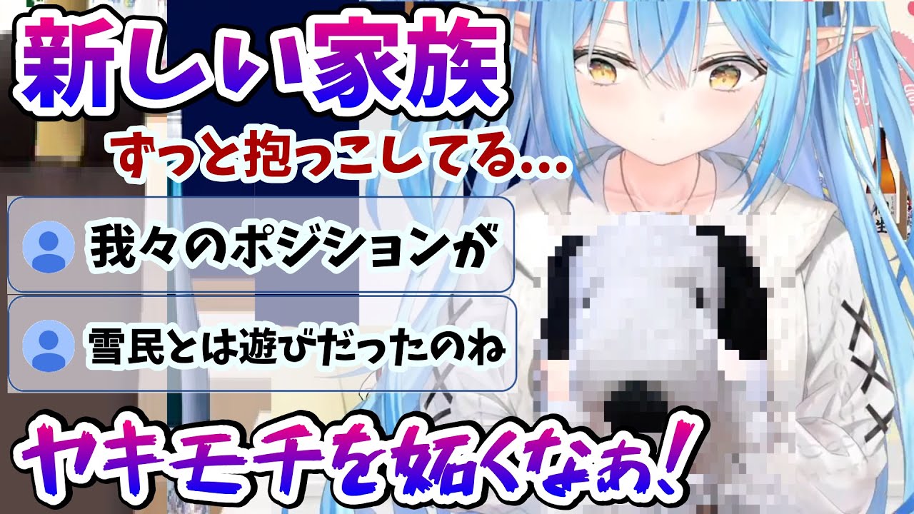 写真で新しい家族を紹介するラミィちゃんとポジションを奪われたことに嫉妬する雪民さん【雪花ラミィ/ホロライブ/切り抜き/らみらいぶ】
