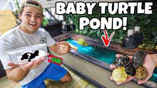 BUYING BABY TURTLES for My mini POND!!