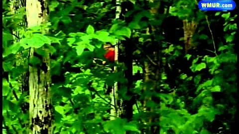 Search continues for missing NC man