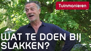 Wat te doen bij slakken? | Tuinmanieren