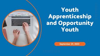 Youth Apprenticeships and Opportunity Youth - What's Working and How Can WIOA Youth Funds be Used?