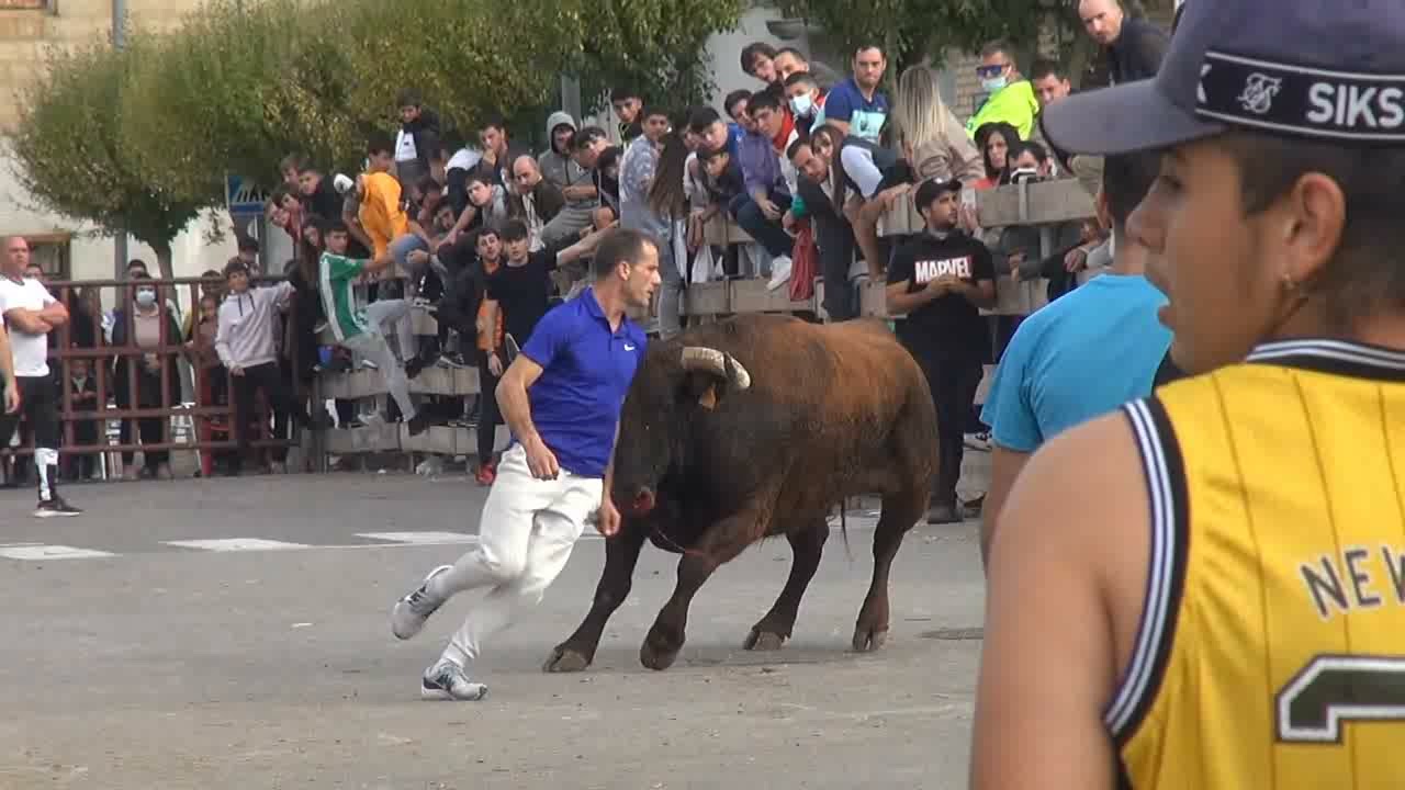 VACAS CALLE FONTELLAS (NAVARRA) ARRIAZU 17- 10 -2021