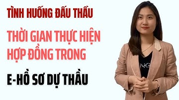 Thời Gian Thực Hiện Hợp Đồng Trong E-HSDT | Tình Huống Đấu Thầu