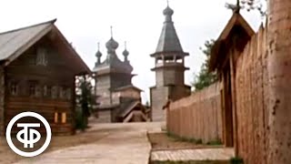 :  .    .  5 (1981)