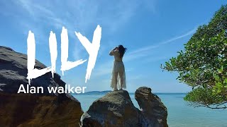 Alan​ Walker - Lily (lyrics)