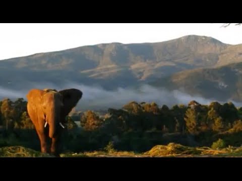 Video: Immagini Incredibili Di Un Viaggio Attraverso La Costa Occidentale Del Sudafrica