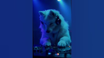 Thumbnail of EDM Mashup - Embers of Us #TropicalHouse  - #edm #mashup #remix #remix2025 #edmmashup