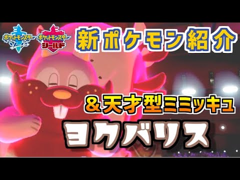 ポケモン剣盾 最強ヨクバリス 天才型ミミッキュ 新ポケモン紹介 Youtube